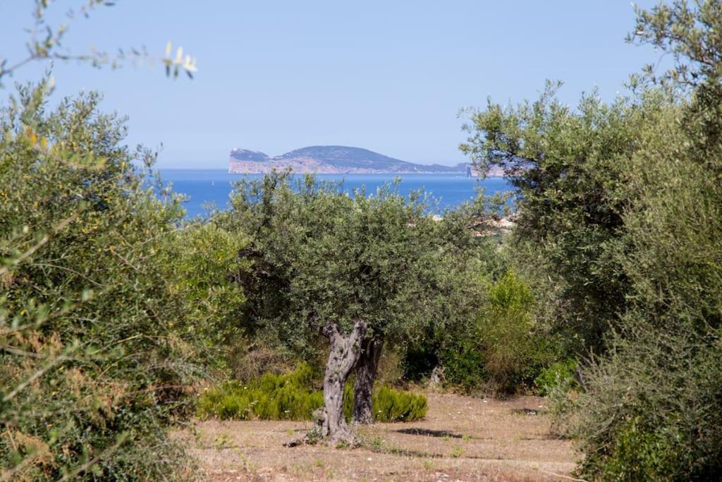 Villa Tramonto 알게로 외부 사진