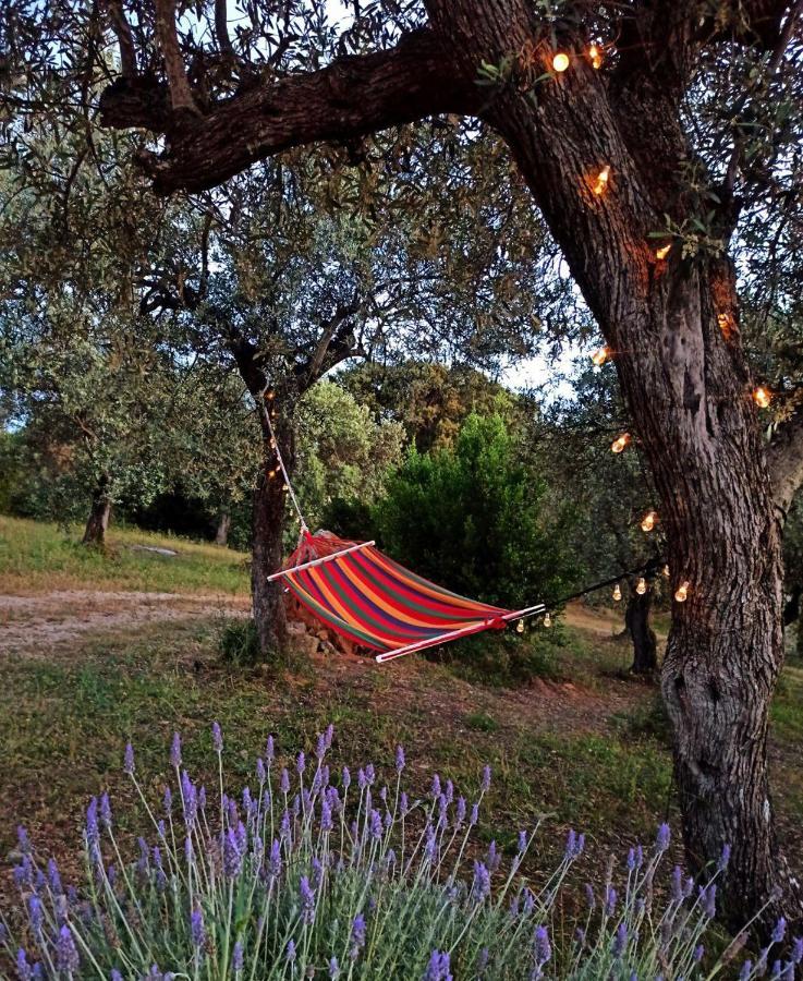 Villa Tramonto 알게로 외부 사진
